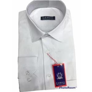 Solid Color Regular Fit Shirts For Men