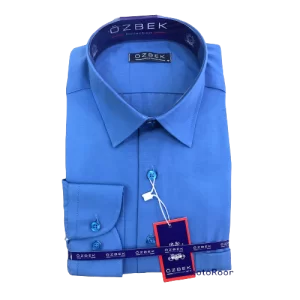 Solid Color Regular Fit Shirts For Men